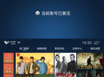 [精品软件] 叶子TV v1.7.3.0免激活码版