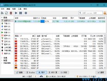 [下载工具] BT下载利器qBittorrent 4.2.5.13 绿色增强版