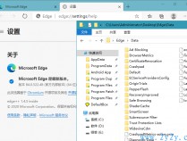 [浏览器] Microsoft Edge v84.0.522.61 绿色增强版本