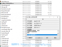 [精品软件] QQ禁止上传浏览器记录v1.0