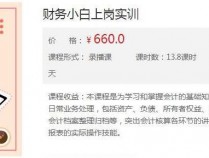 [教程] 价值660元的财务小白上岗实训课