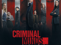 [电视剧集] [BT下载][犯罪心理 Criminal Minds 第十七季][全10集][英语中字][MKV][1080P/2160P][多版]