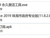 [办公相关] 2019公务版WPS激活无限制工具+WPS安卓手机版高级订阅