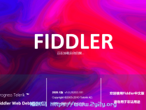 [精品软件] Fiddler Web Debugger