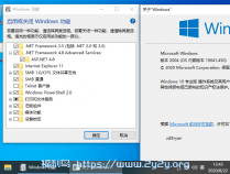 [精品软件] Windows 10 v2004精简版